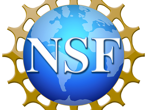 Tiêu chuẩn NSF là gì? vì sao người dùng lại tậu và tiêu dùng sản phẩm&nbsp;NSF?